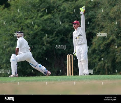 Wicket Keeper Stock Photos & Wicket Keeper Stock Images - Alamy