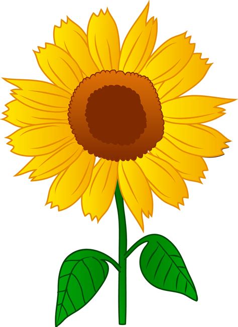 Sunflower Clipart, Png - ClipArt Best