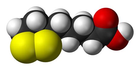 Acide lipoïque — Wikipédia