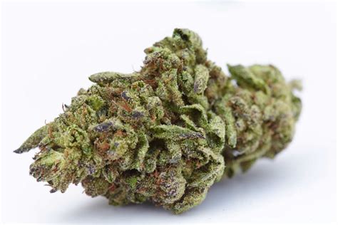 Runtz Strain Review - The Lodge Cannabis Denver