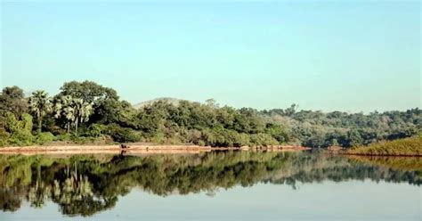 A Beginner's Guide To The River Gambia