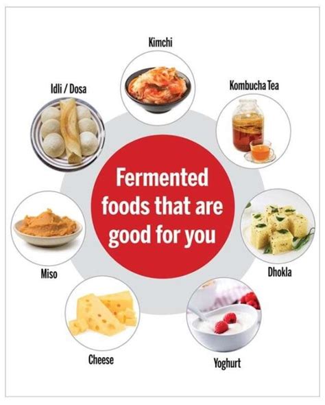 FOOD FERMENTATION