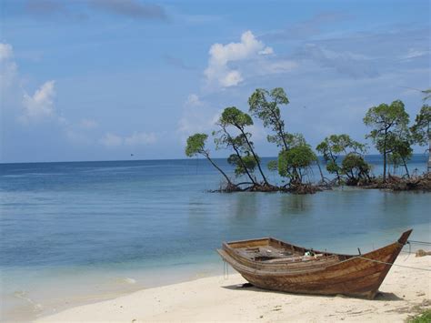 Best things to do in Andaman in 2024: A complete guide