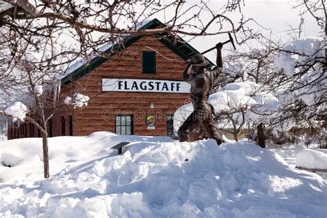 Flagstaff Snow January 2024 - Catlin Joellen