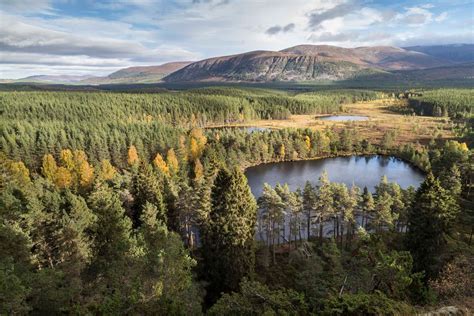 The 7 Best Walks in Cairngorms National Park | Wanderlust