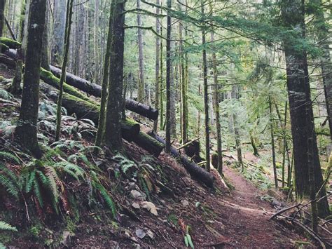 Boulder Ridge Trail. Brightwood, Oregon.... - Big Gulps, huh?