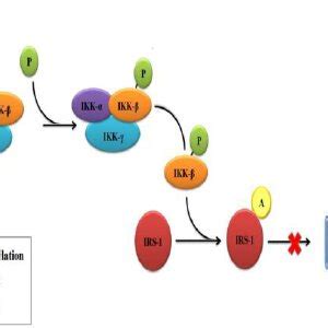 Two dimensional structure (a) Chlorpropamide (b) Nateglinide. | Download Scientific Diagram