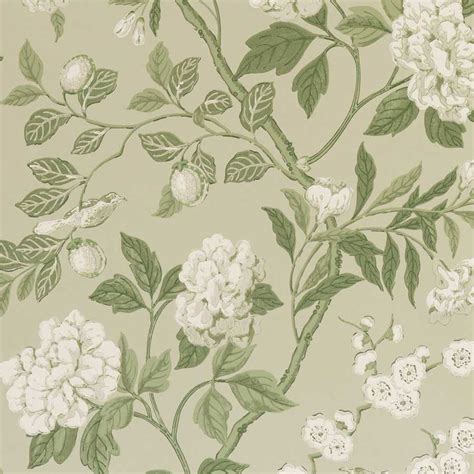 Top more than 54 green floral wallpaper best - in.cdgdbentre