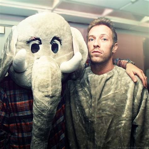 elephant's paradise | Coldplay, Chris martin coldplay, Coldplay paradise