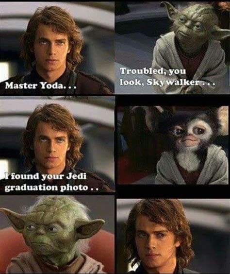 Star Wars Yoda graduation picture Gremlins Lol So True, Images Star Wars, Star Wars Pictures ...