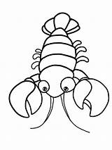 Printable Lobster Coloring Page sketch template