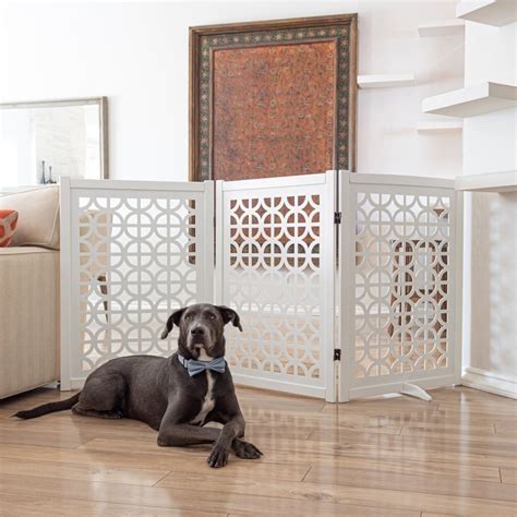 10 Best Dog Gates For Stairs | Foter