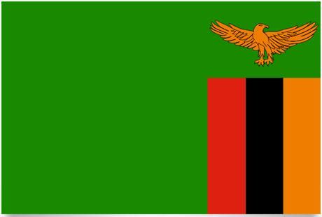 Zambia Flag and Meaning – Countryaah.com