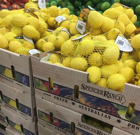 When life gives you lemons! 🍋 Eureka lemons pictured below from the new ...