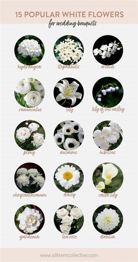 15 Popular White Wedding Flowers - Silk Stem Collective