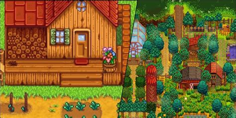 Stardew Valley Forest Farm Guide