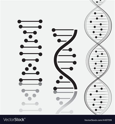 Dna design Royalty Free Vector Image - VectorStock