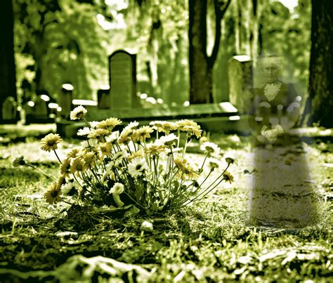 Graveyard Ghost Of A Person Free Stock Photo - Public Domain Pictures