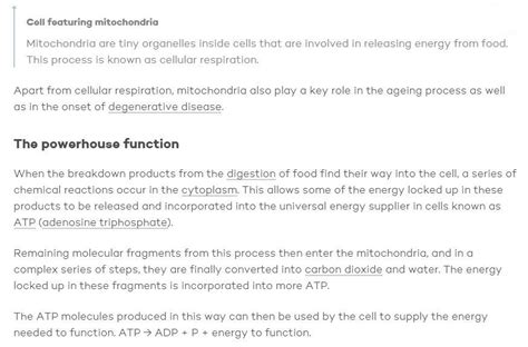 MITOCHONDRIA | billw