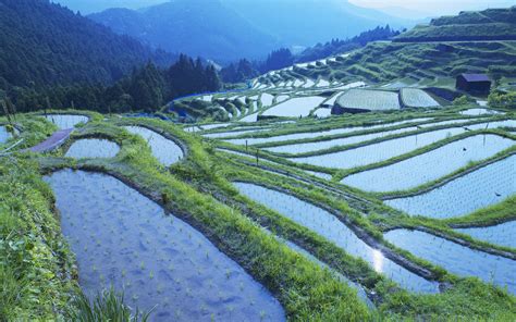 water, Mountains, Landscapes, Fields, Rice, Terrace, Hillside ...