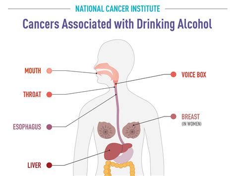 Alcohol and Cancer Risk Fact Sheet - NCI