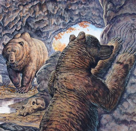 Extinct Cave Bear - Stock Image - C004/8078 - Science Photo Library