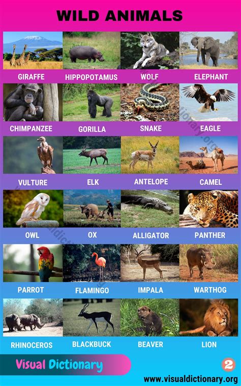 Wild Animals: List of 195 Common Wild Animals Vocabulary with Pictures - Visual Dictionary