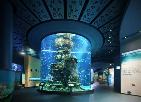 :S.E.A. Aquarium, Marine Life Park, Resorts World Sentosa, Singapore ...