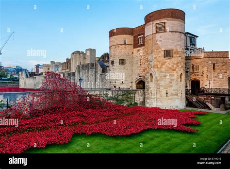 Poppy Display at The Tower of London To Commemorate the 100 year Anniversary of the First World ...