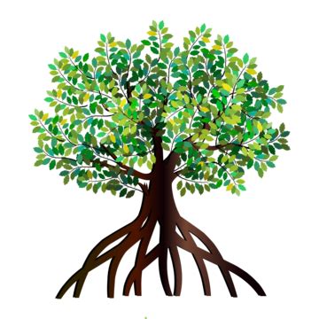 Mangrove Tree And Roots Vector Elegant Logo, Mangrove, Tree, Balance PNG and Vector with ...