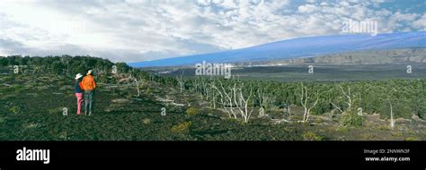 Hikers looking at Kilauea Crater and Mauna Loa, Hawaii Volcanoes ...