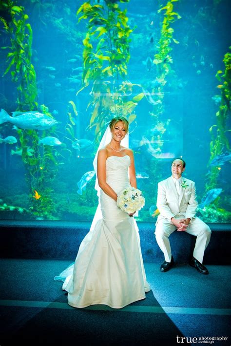 Birch Aquarium at Scripps | Aquarium wedding, Birch aquarium, Wedding ...