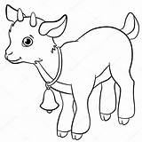 The Top 21 Ideas About Baby Goat Coloring Pages  Home Family Style sketch template