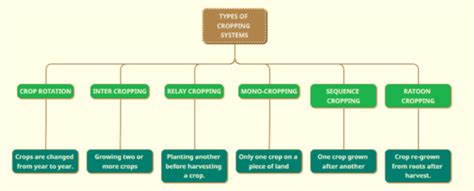 Cropping System and Cropping Pattern - UPSC IAS - UPSC Notes » LotusArise