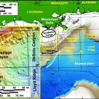 Shaded bathymetry map of the northern Gulf of Mexico. Bathymetry is ...