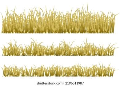 Dry Grass Brown Grass Set Stock Vector (Royalty Free) 2196511987 | Shutterstock