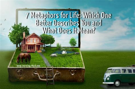 7 Metaphors for Life: Which One Better Describes You and What Does It Mean? - Learning Mind