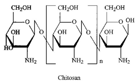 1. Chitosan chemical structure. | Download Scientific Diagram