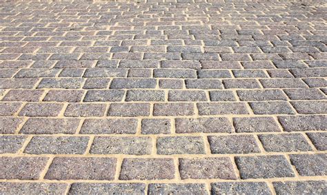 Polymeric Sand vs Regular Sand for Pavers: 8 Differences