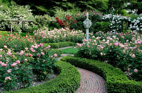 Rose Garden — Old Westbury Gardens