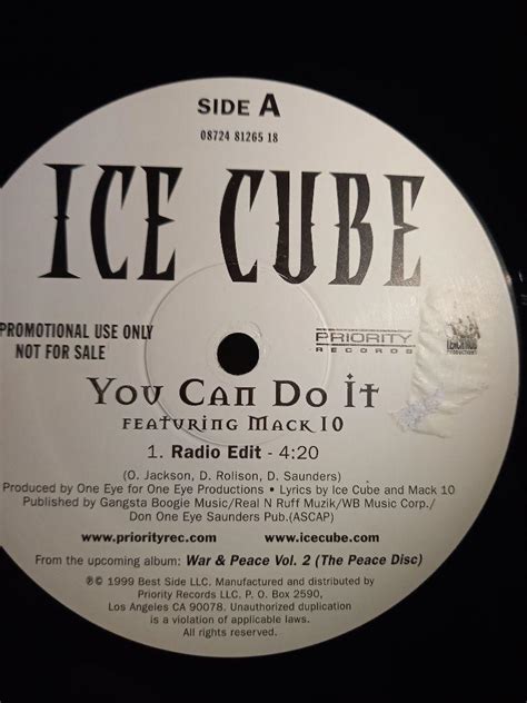 Ice cube You can do it 2000年usプロモオンリー盤 - メルカリ