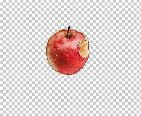 Watercolor Painting Apple Sketch PNG, Clipart, Apple, Apple Fruit ...