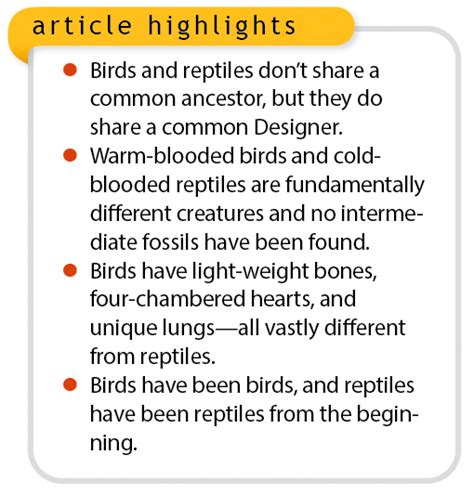 Are Birds "Cousins" to Reptiles? | The Institute for Creation Research