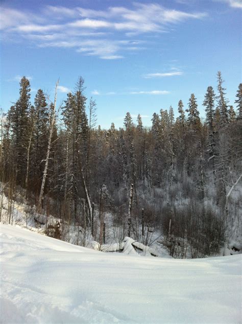 Fort McMurray winter trails! | Nature, Natural landmarks, Trail