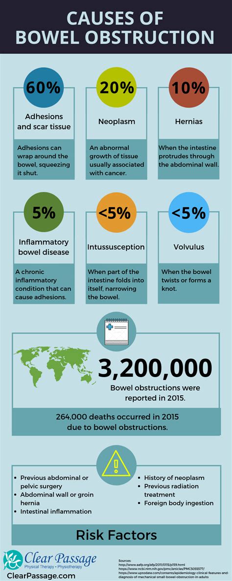 Infographic The Main Causes Of Bowel Obstructions Clear Passage | Hot Sex Picture