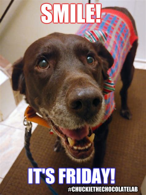 Its Friday Meme Dog Hey Everybody It S Friday Imgflip Lovethispic ...