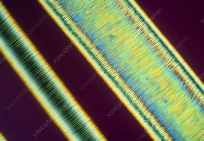 PLM of a synthetic liquid crystal polymer fibres - Stock Image - H120 ...