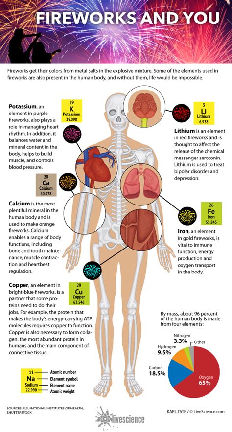 How Elements in Fireworks Make the Human Body Work (Infographic) | Live Science