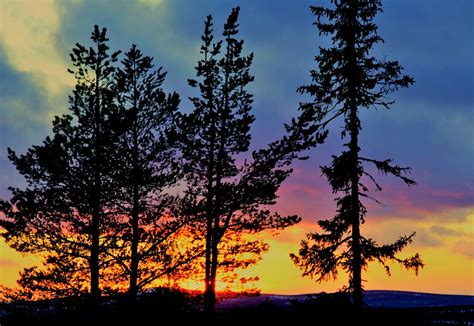 Sunset behind trees. | Beautiful evening with amazing colors… | yrjö jyske | Flickr