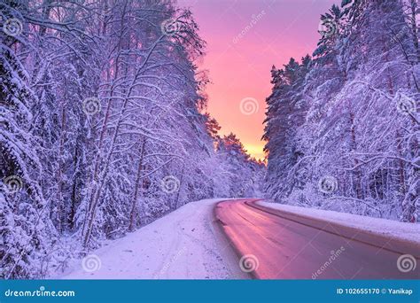 Winter Landscape with Sunset,road and Forest Stock Photo - Image of asphalt, idyllic: 102655170